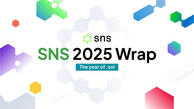 SNS in 2025: A Year of Momentum, Identity and Community